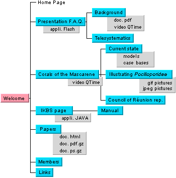 Arbre du site